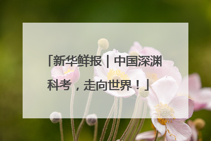 新华鲜报｜中国深渊科考，走向世界！