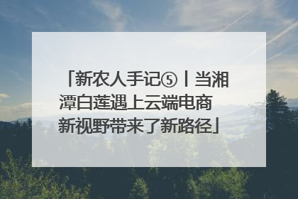 新农人手记⑤丨当湘潭白莲遇上云端电商 新视野带来了新路径