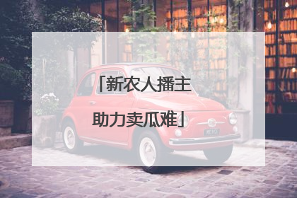 新农人播主 助力卖瓜难