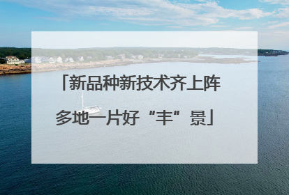 新品种新技术齐上阵 多地一片好“丰”景