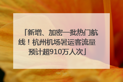 新增、加密一批热门航线！杭州机场暑运客流量预计超910万人次