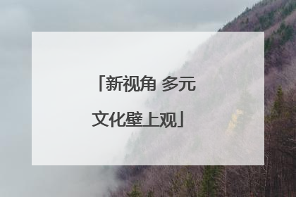新视角 多元文化壁上观