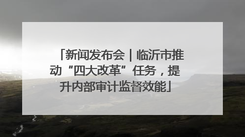 新闻发布会｜临沂市推动“四大改革”任务，提升内部审计监督效能