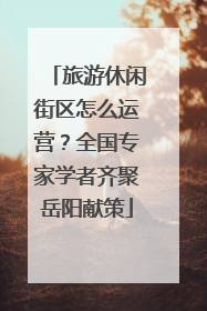 旅游休闲街区怎么运营？全国专家学者齐聚岳阳献策