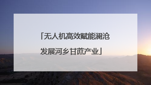 无人机高效赋能澜沧发展河乡甘蔗产业