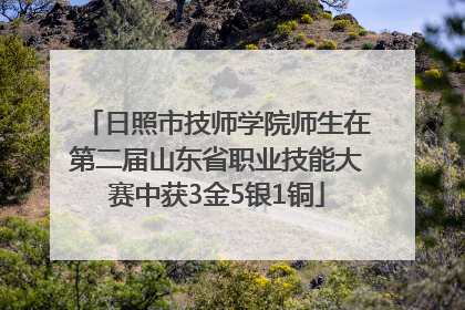 日照市技师学院师生在第二届山东省职业技能大赛中获3金5银1铜