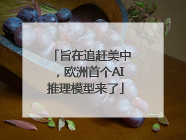 旨在追赶美中，欧洲首个AI推理模型来了