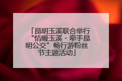 昆明玉溪联合举行“情暖玉溪・牵手昆明公交”畅行游粉丝节主题活动