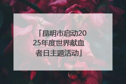 昆明市启动2025年度世界献血者日主题活动
