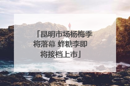 昆明市场杨梅季将落幕 蜂糖李即将接档上市