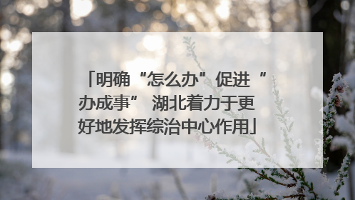 明确“怎么办”促进“办成事” 湖北着力于更好地发挥综治中心作用