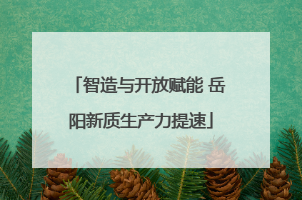 智造与开放赋能 岳阳新质生产力提速