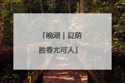晚潮｜夏荫胜春尤可人