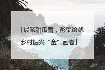 晨曦甜瓜香，彭集绘就乡村振兴“金”画卷