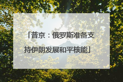 普京：俄罗斯准备支持伊朗发展和平核能