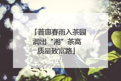 普惠春雨入茶园 润出“湘”茶高质量致富路