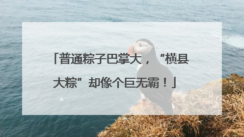 普通粽子巴掌大，“横县大粽”却像个巨无霸！
