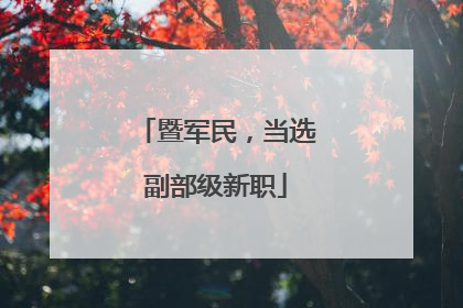 暨军民，当选副部级新职