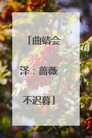 曲靖会泽：蔷薇不迟暮