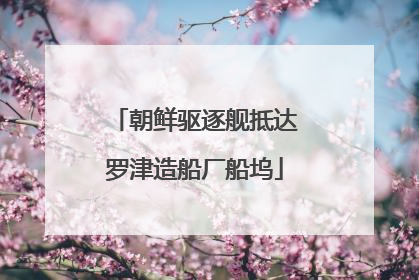 朝鲜驱逐舰抵达罗津造船厂船坞