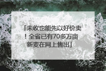 未收也能先以好价卖！全省已有70多万亩新麦在网上售出