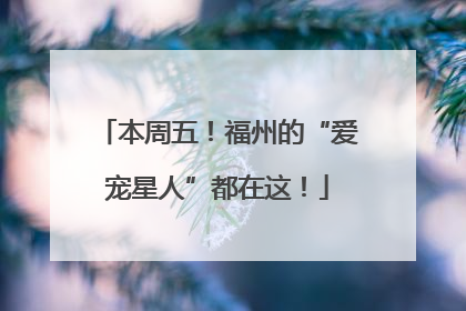 本周五！福州的“爱宠星人”都在这！
