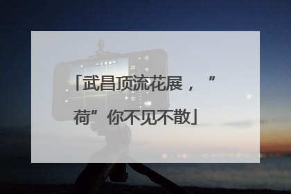武昌顶流花展，“荷”你不见不散