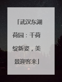 武汉东湖荷园：千荷绽新姿，美景迎客来