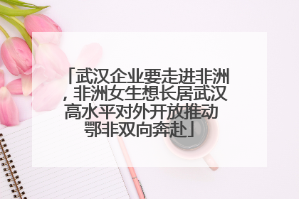 武汉企业要走进非洲，非洲女生想长居武汉 高水平对外开放推动鄂非双向奔赴