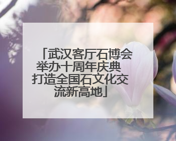 武汉客厅石博会举办十周年庆典 打造全国石文化交流新高地