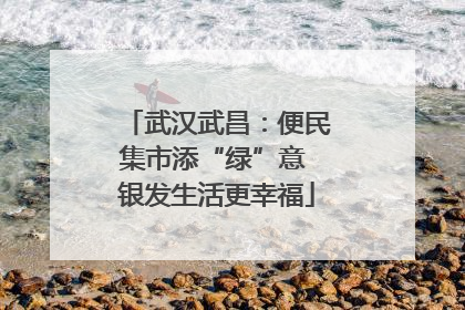 武汉武昌：便民集市添“绿”意 银发生活更幸福