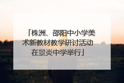 株洲、邵阳中小学美术新教材教学研讨活动在景炎中学举行