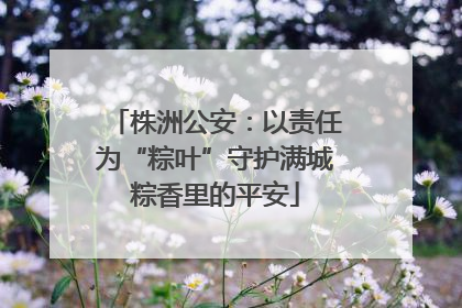株洲公安：以责任为“粽叶”守护满城粽香里的平安