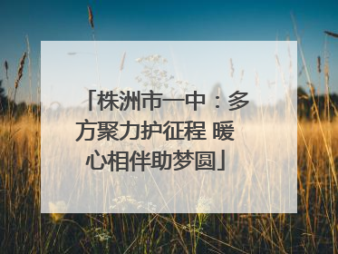 株洲市一中：多方聚力护征程 暖心相伴助梦圆