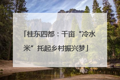 桂东四都：千亩“冷水米”托起乡村振兴梦