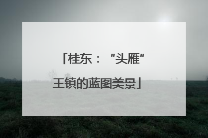桂东：“头雁”王镇的蓝图美景