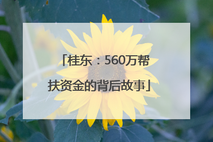 桂东：560万帮扶资金的背后故事
