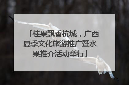 桂果飘香杭城，广西夏季文化旅游推广暨水果推介活动举行
