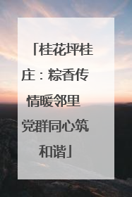 桂花坪桂庄：粽香传情暖邻里 党群同心筑和谐