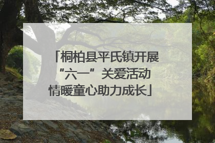 桐柏县平氏镇开展“六一”关爱活动 情暖童心助力成长