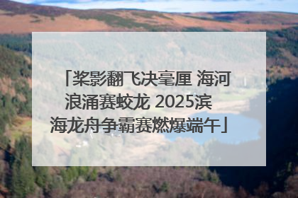 桨影翻飞决毫厘 海河浪涌赛蛟龙 2025滨海龙舟争霸赛燃爆端午