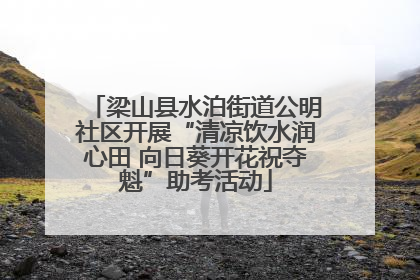 梁山县水泊街道公明社区开展“清凉饮水润心田 向日葵开花祝夺魁”助考活动