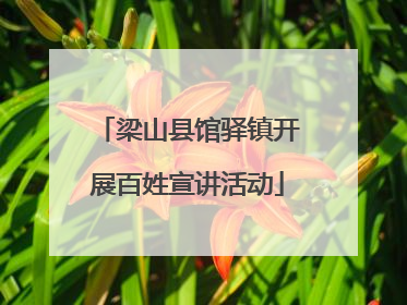 梁山县馆驿镇开展百姓宣讲活动