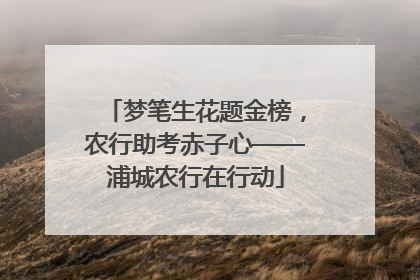 梦笔生花题金榜，农行助考赤子心——浦城农行在行动