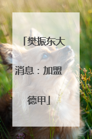 樊振东大消息：加盟德甲