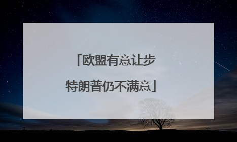 欧盟有意让步 特朗普仍不满意