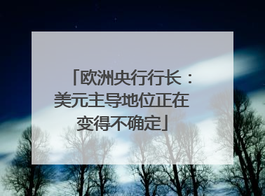欧洲央行行长：美元主导地位正在变得不确定