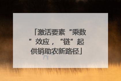 激活要素“乘数”效应，“链”起供销助农新路径