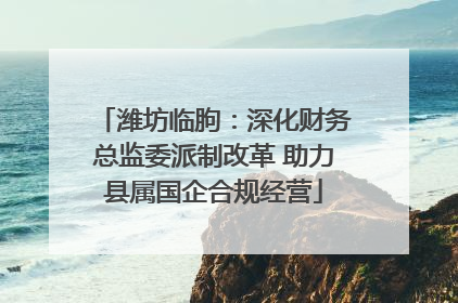 潍坊临朐：深化财务总监委派制改革 助力县属国企合规经营