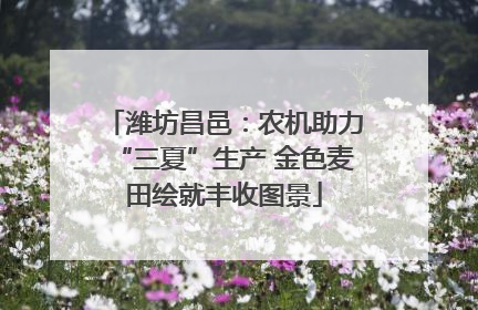 潍坊昌邑：农机助力“三夏”生产 金色麦田绘就丰收图景